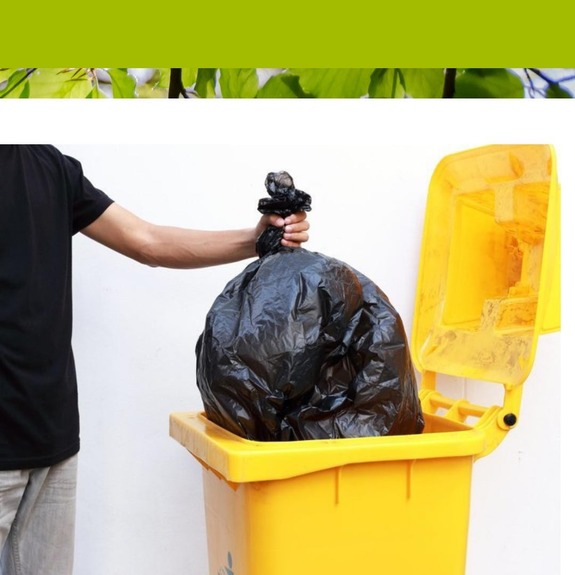 Привычный мусор может перестать быть таковым?